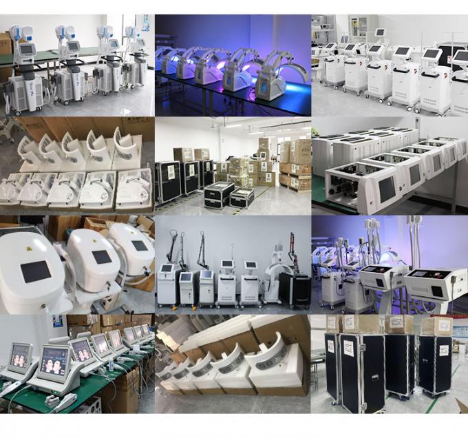 800w क्रायोथेरेपी फेशियल मशीन -20c क्रायोथेरेपी ज़िमर स्किन कूलिंग मशीन 14