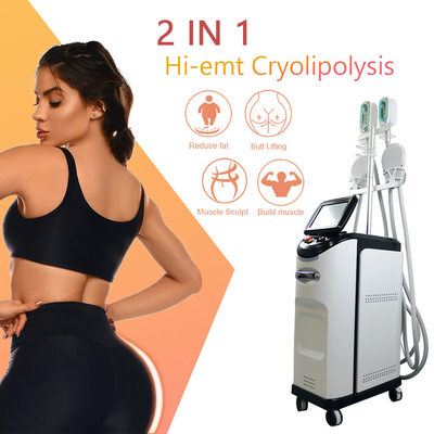 क्रायोलिपोलिसिस ईएमएस मशीन 360 क्रायो फैट फ्रीजिंग सेल्युलाईट रिमूवल