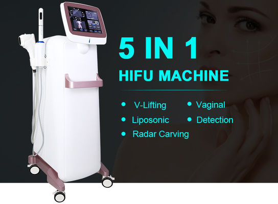 9D सौंदर्य HIFU मशीन Hifu योनि जकड़न शिकन हटाने Vmax Liposonic के लिए